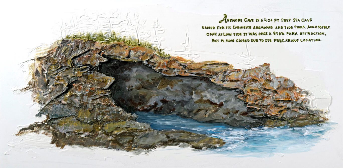 Anemone Cave, Century One Acadia, Kaitlyn Metcalf