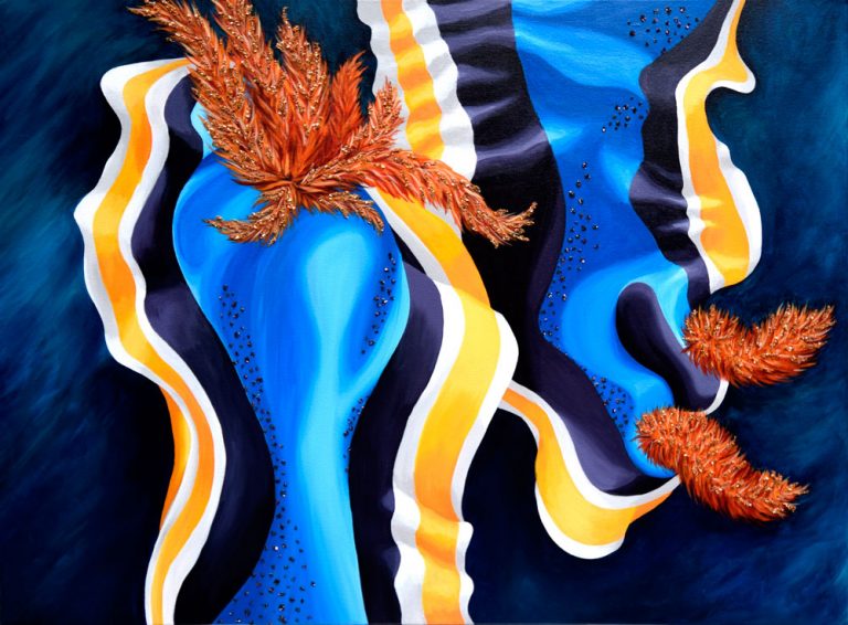 Chromadoris-annae,-Nudibranch,-Kaitlyn-Metcalf