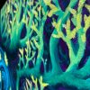 Cristate Neon (Nembrotha cristata) - Image 3