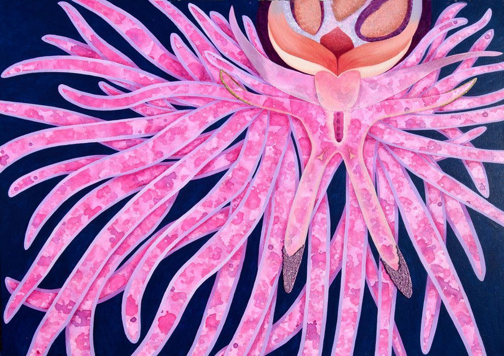 Flabellina-lotos,-Nudibranch,-Kaitlyn-Metcalf